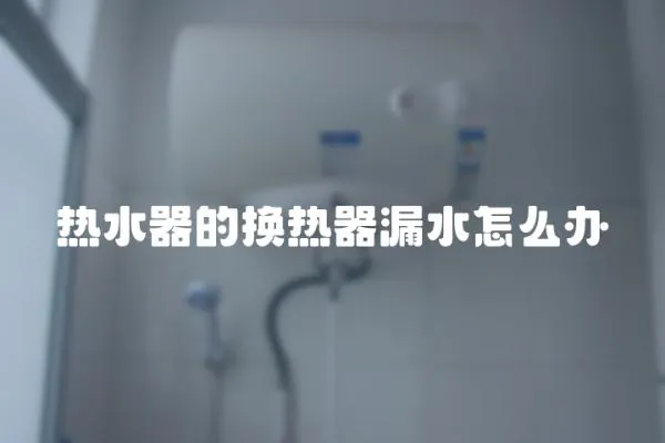 熱水器的換熱器漏水怎么辦