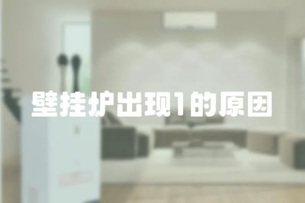 壁掛爐出現1的原因