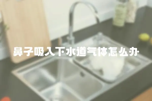 鼻子吸入下水道氣體怎么辦