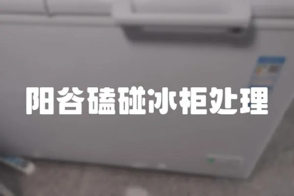 陽谷磕碰冰柜處理