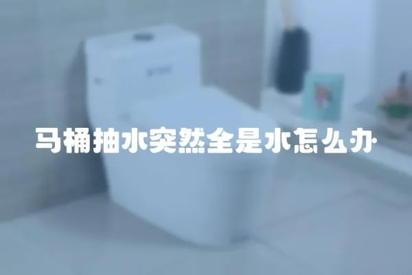 馬桶抽水突然全是水怎么辦