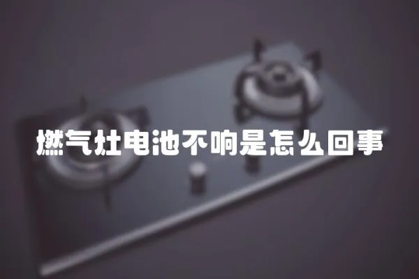 燃?xì)庠铍姵夭豁懯窃趺椿厥?></a></div>
                    <div   id=