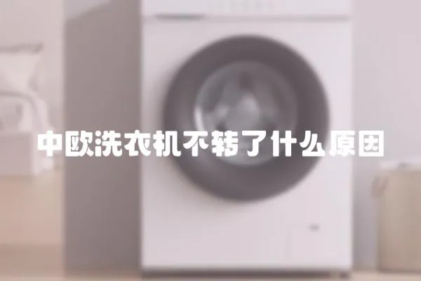 中歐洗衣機不轉了什么原因