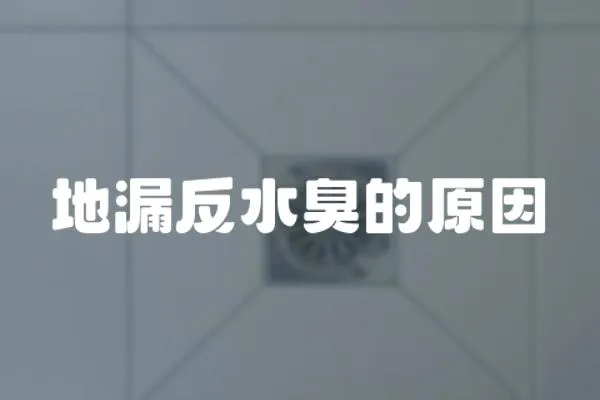 地漏反水臭的原因