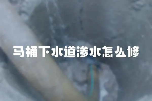馬桶下水道滲水怎么修