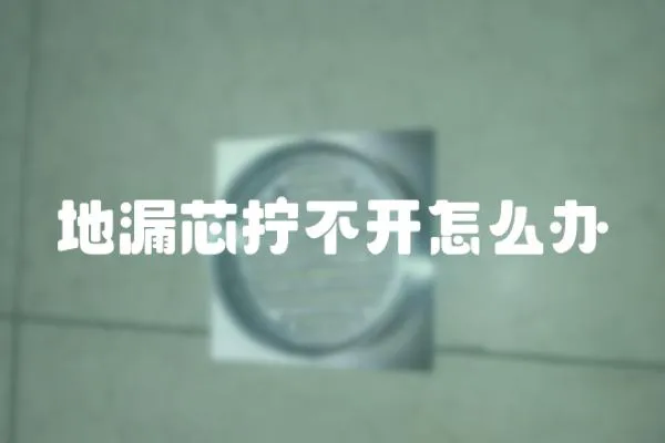 地漏芯擰不開怎么辦