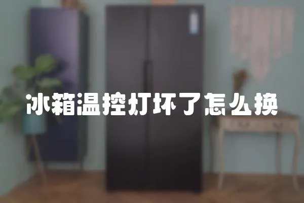冰箱溫控燈壞了怎么換