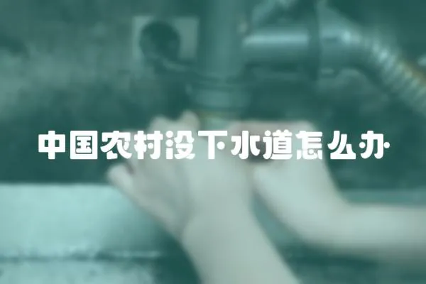中國農(nóng)村沒下水道怎么辦