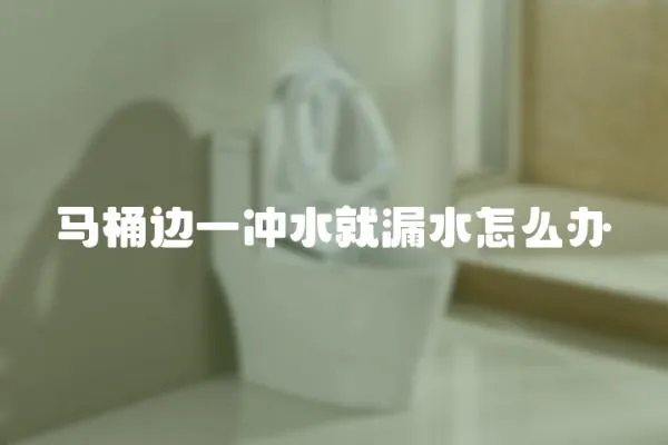 馬桶邊一沖水就漏水怎么辦