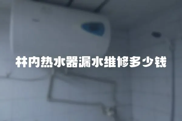 林內熱水器漏水維修多少錢