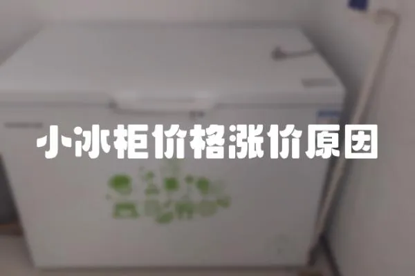 小冰柜價格漲價原因