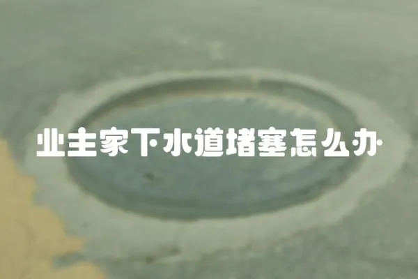 业主家下水道堵塞怎么办