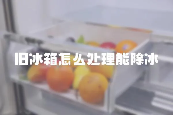 舊冰箱怎么處理能除冰