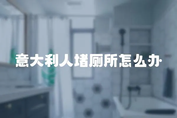 意大利人堵廁所怎么辦