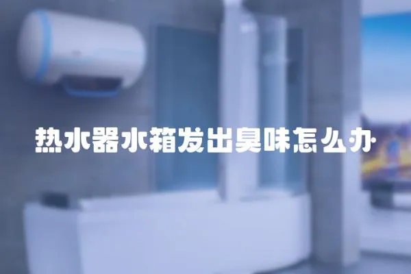 熱水器水箱發出臭味怎么辦