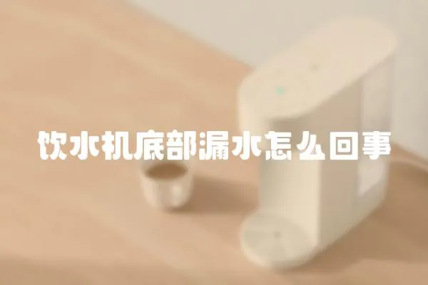 飲水機底部漏水怎么回事