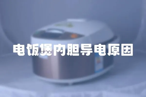 電飯煲內膽導電原因