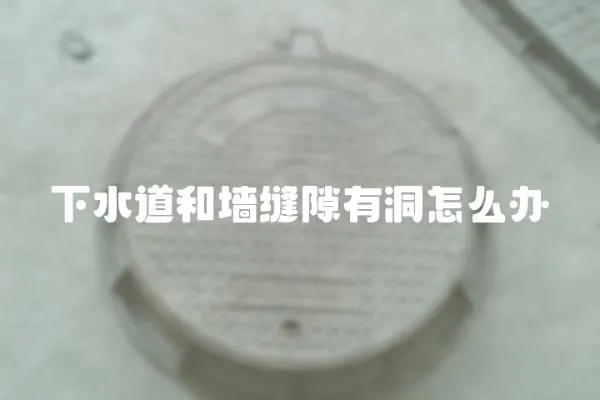下水道和墻縫隙有洞怎么辦