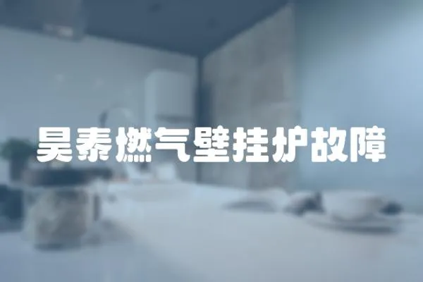 昊泰燃?xì)獗趻鞝t故障