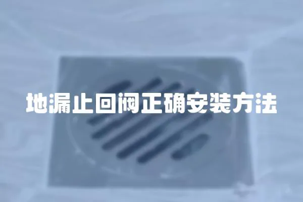 地漏止回閥正確安裝方法
