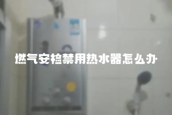 燃氣安檢禁用熱水器怎么辦