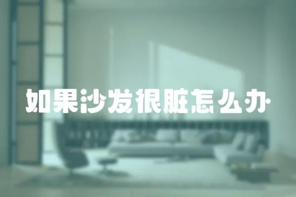 如果沙發(fā)很臟怎么辦