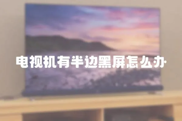 電視機有半邊黑屏怎么辦