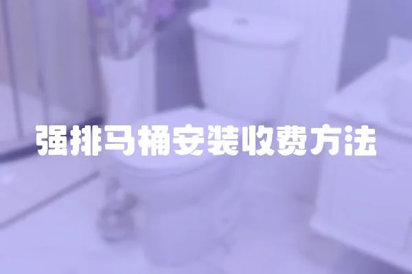 強排馬桶安裝收費方法