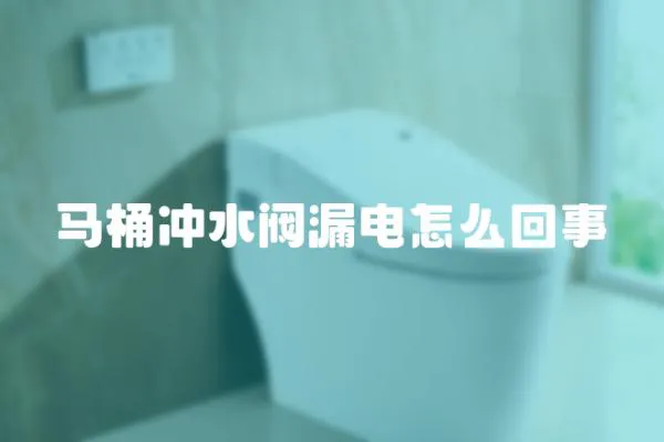 馬桶沖水閥漏電怎么回事