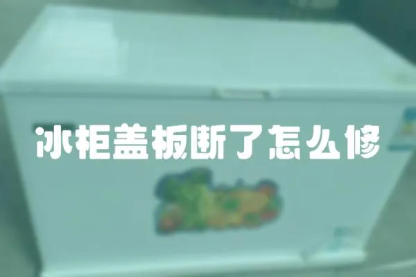 冰柜蓋板斷了怎么修