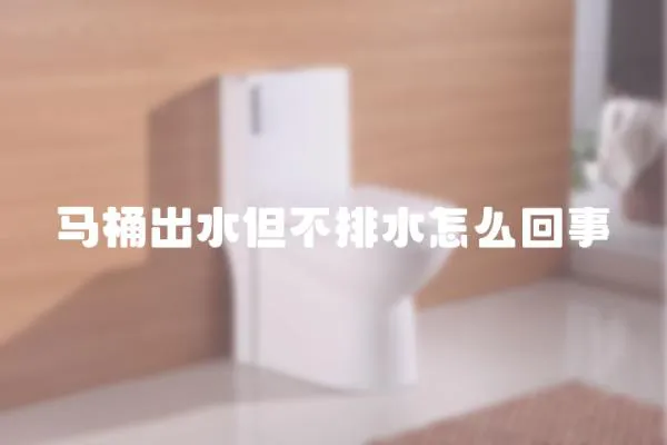 馬桶出水但不排水怎么回事