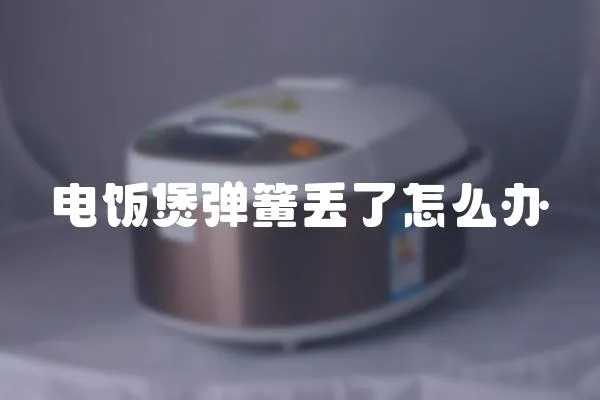 電飯煲彈簧丟了怎么辦