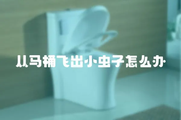 從馬桶飛出小蟲子怎么辦