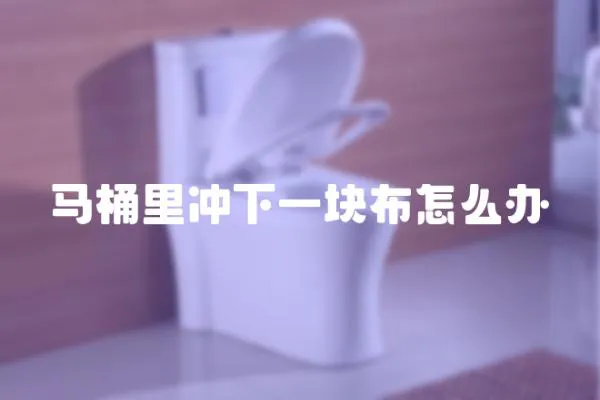 馬桶里沖下一塊布怎么辦