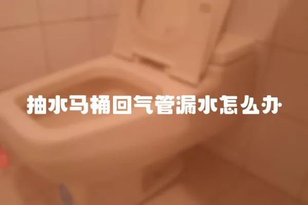 抽水马桶回气管漏水怎么办