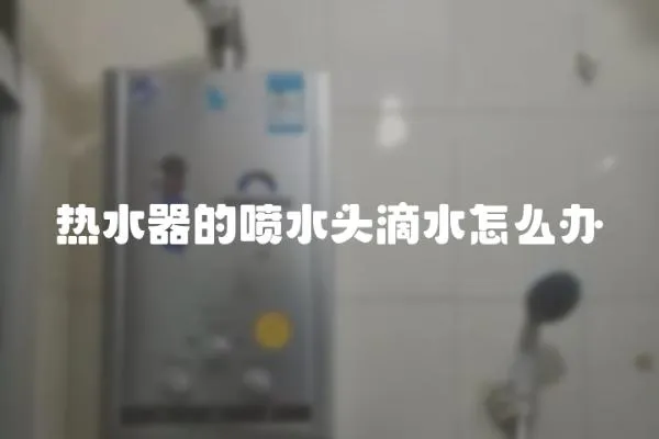 熱水器的噴水頭滴水怎么辦