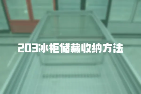 203冰柜儲藏收納方法