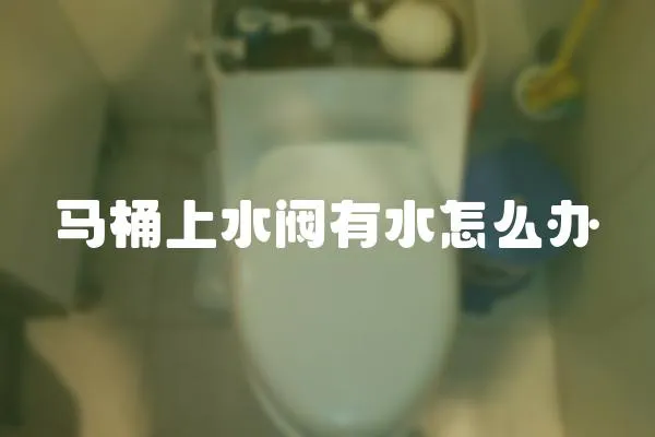馬桶上水閥有水怎么辦