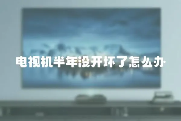 電視機(jī)半年沒開壞了怎么辦