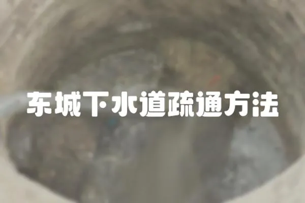 東城下水道疏通方法