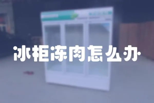 冰柜凍肉怎么辦