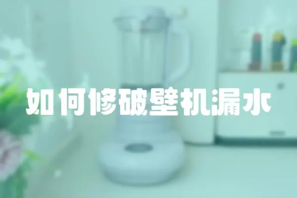 如何修破壁機漏水