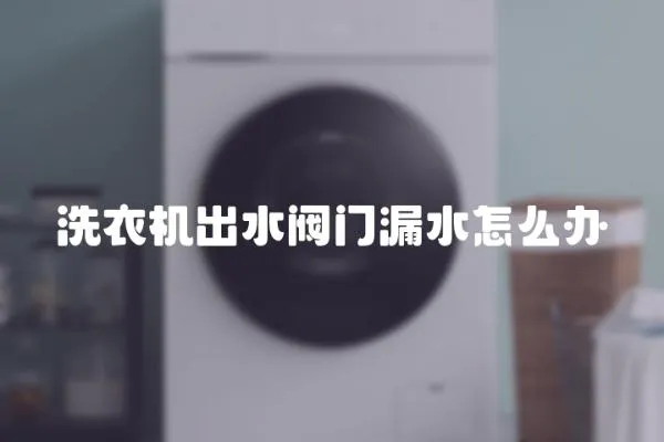 洗衣機(jī)出水閥門(mén)漏水怎么辦