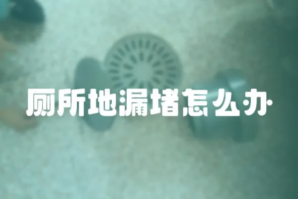 廁所地漏堵怎么辦
