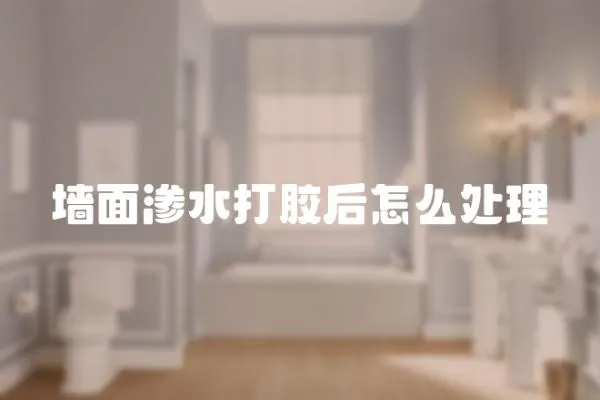 墻面滲水打膠后怎么處理