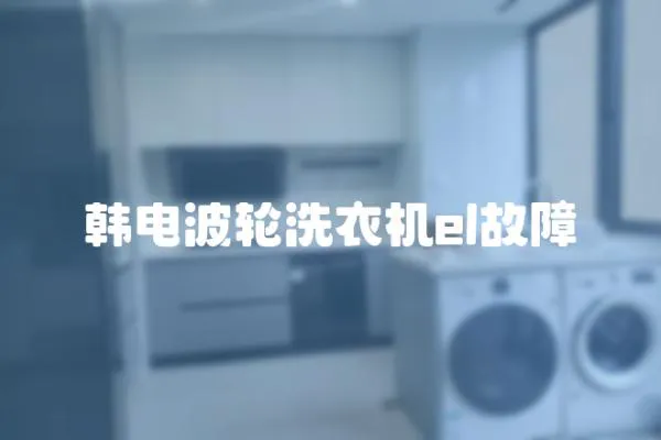 韓電波輪洗衣機el故障