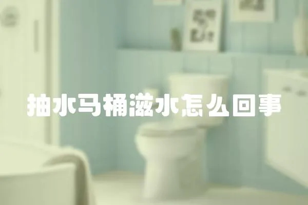 抽水馬桶滋水怎么回事