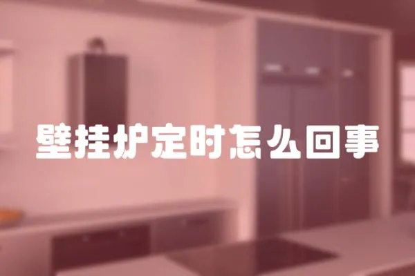 壁掛爐定時怎么回事