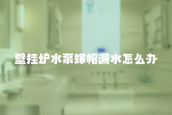 壁掛爐水泵螺帽漏水怎么辦