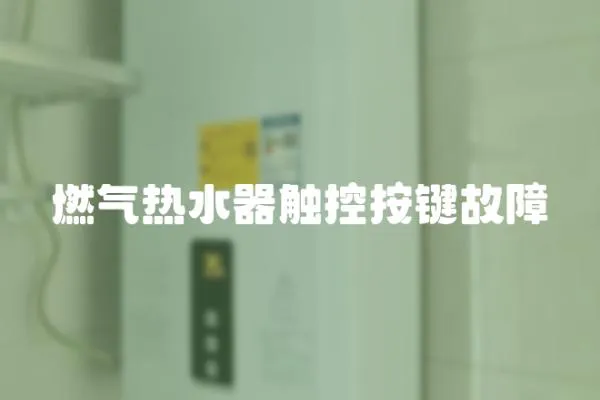 燃?xì)鉄崴饔|控按鍵故障